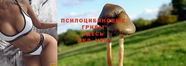 ALPHA-PVP Покровск